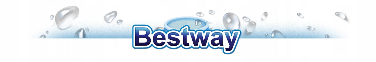 ŠEIMOS SODO BASEINAS VAIKAMS 244x61cm BESTWAY